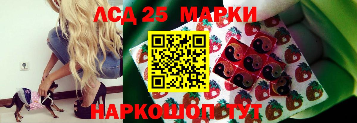 блэк спрут маркетплейс  Вход с VPN  Богородск  LSD-25 экстази ecstasy  LSD-25 экстази ecstasy 