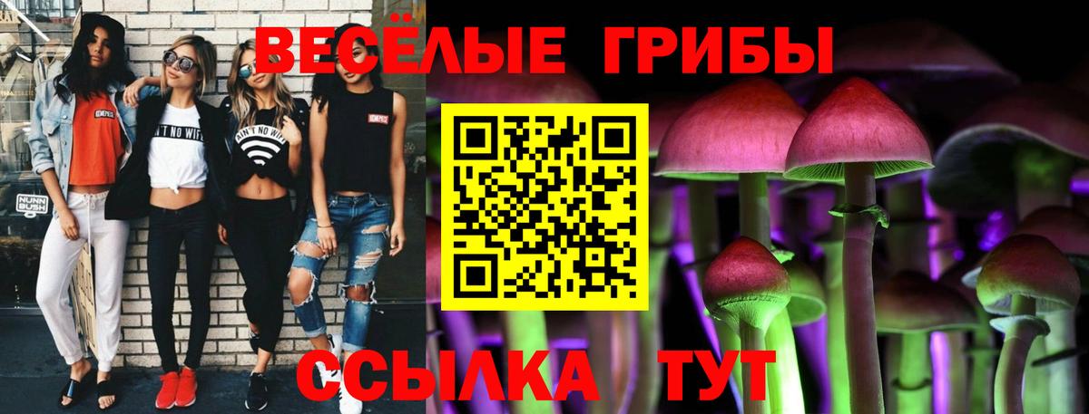 Псилоцибиновые грибы MAGIC MUSHROOMS Богородск